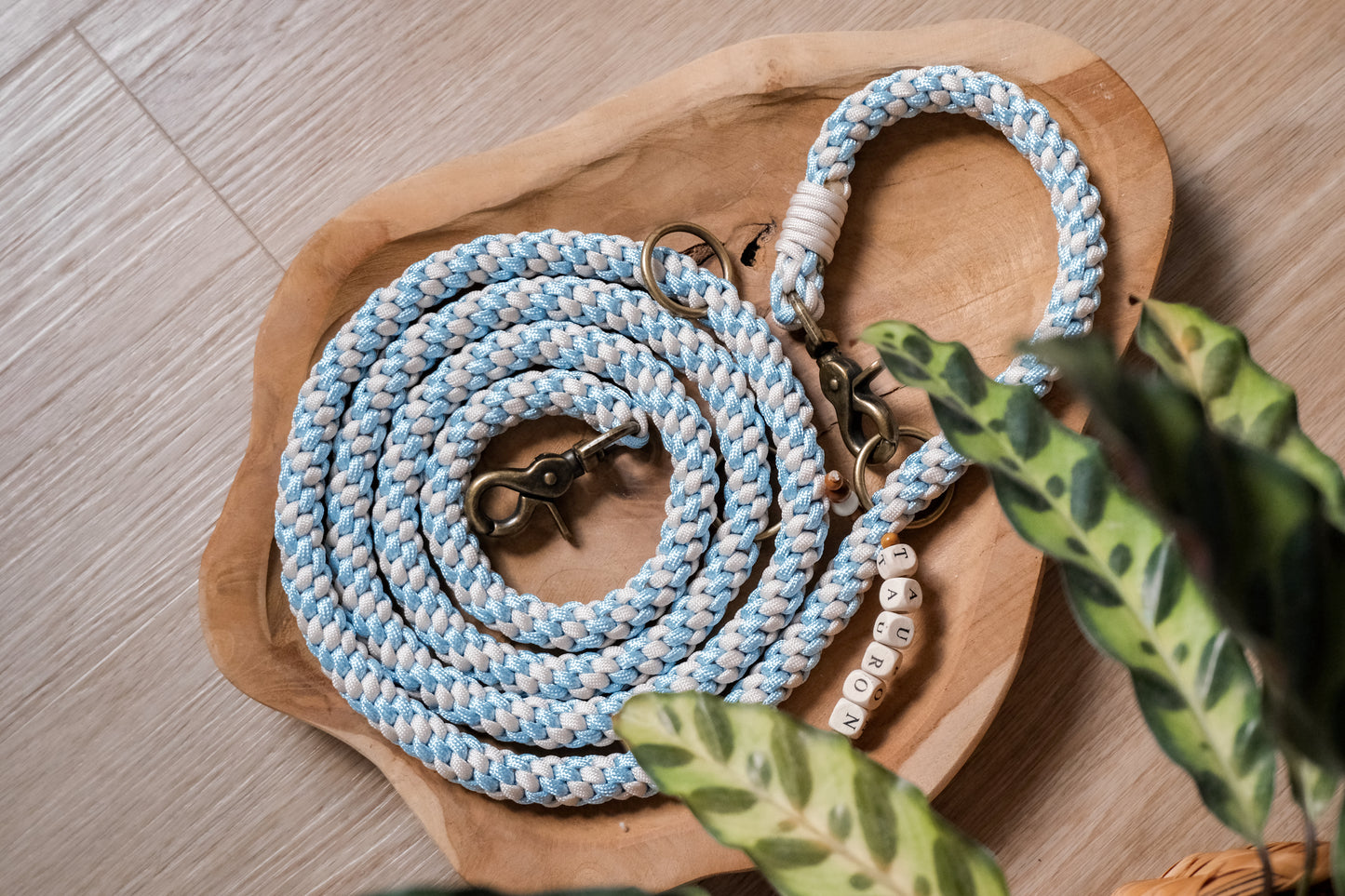 Paracord vodítko na míru / 2m