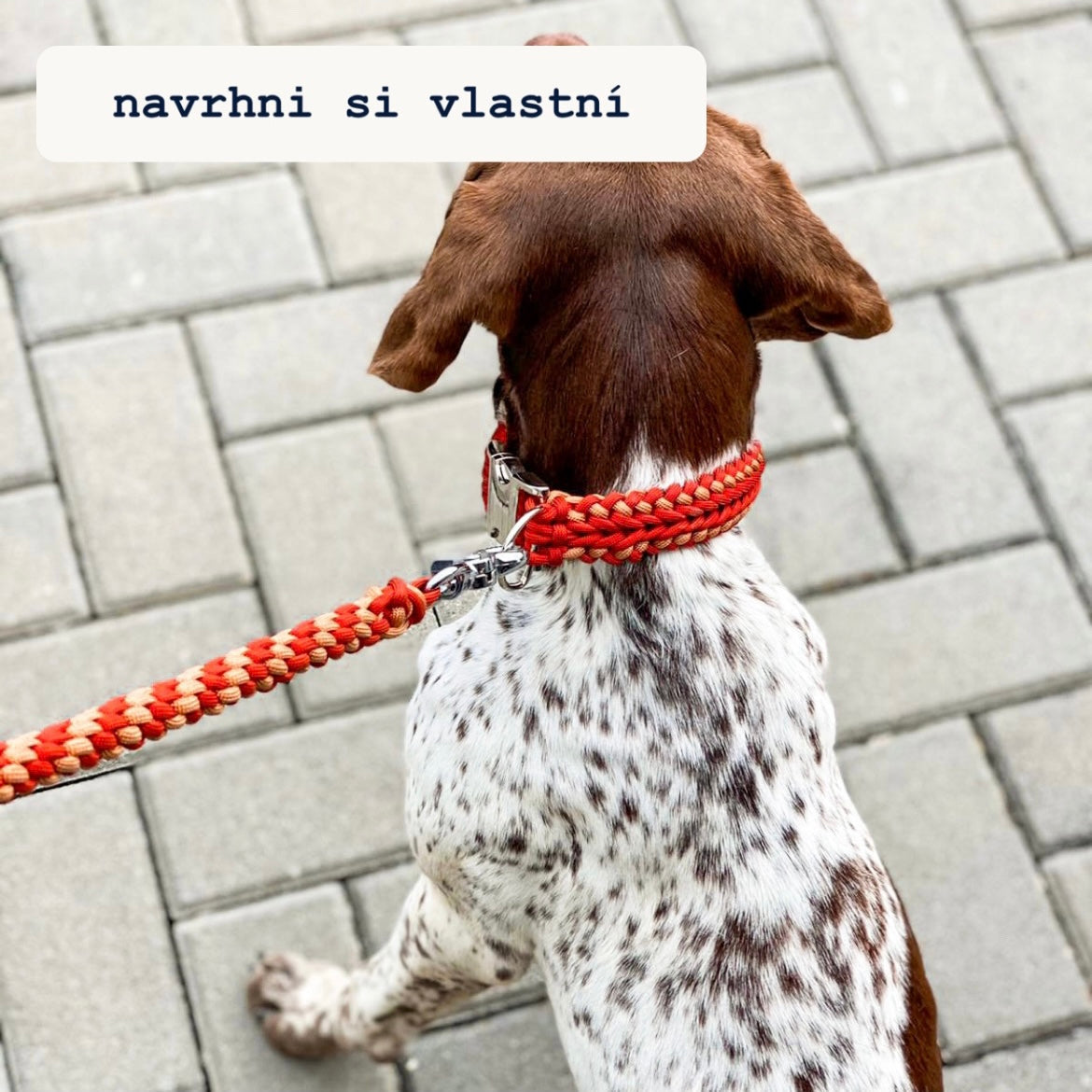 Paracord set podle tvých představ / 3m