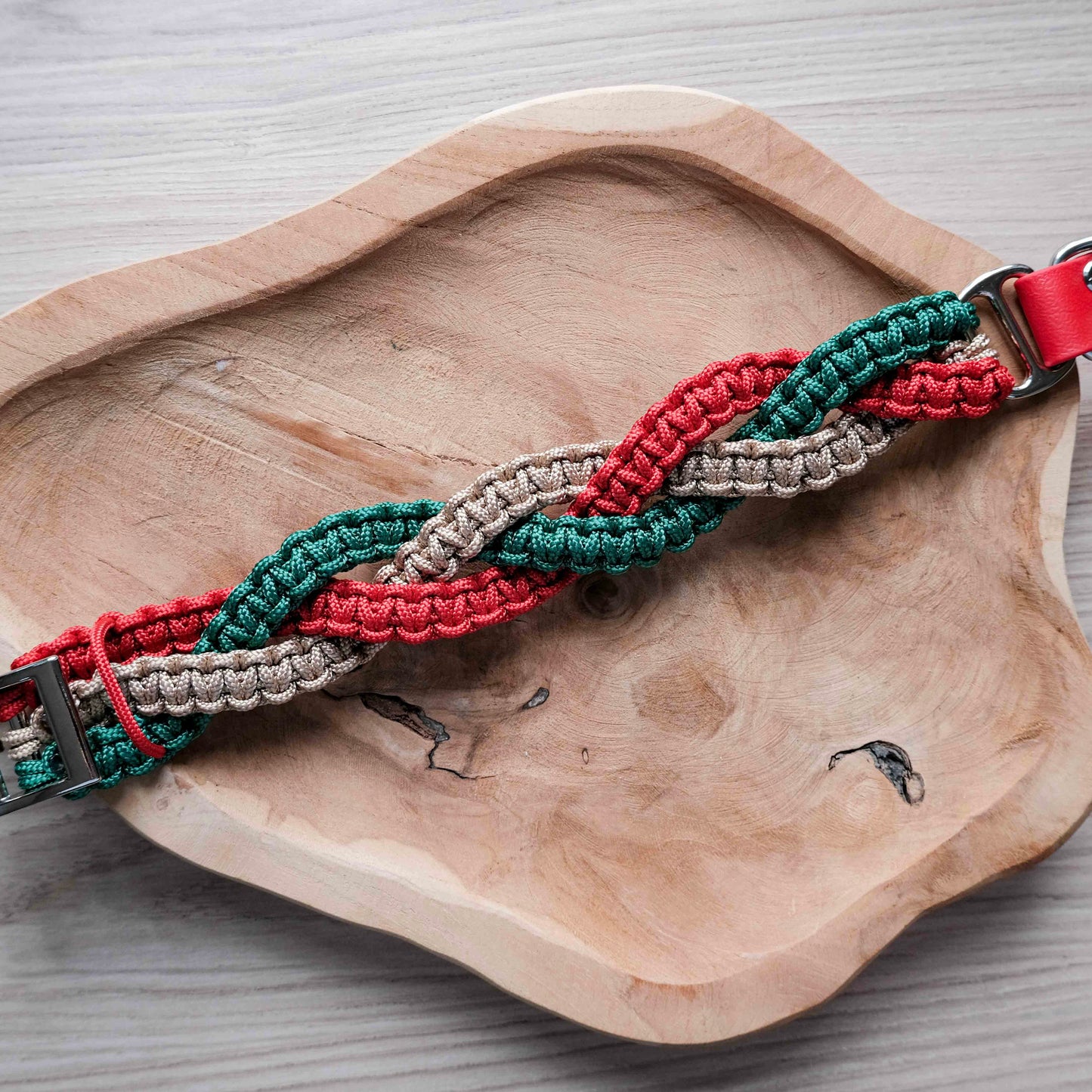 Vánoční paracordový obojek s biothanovým řemínkem / 44 - 50cm