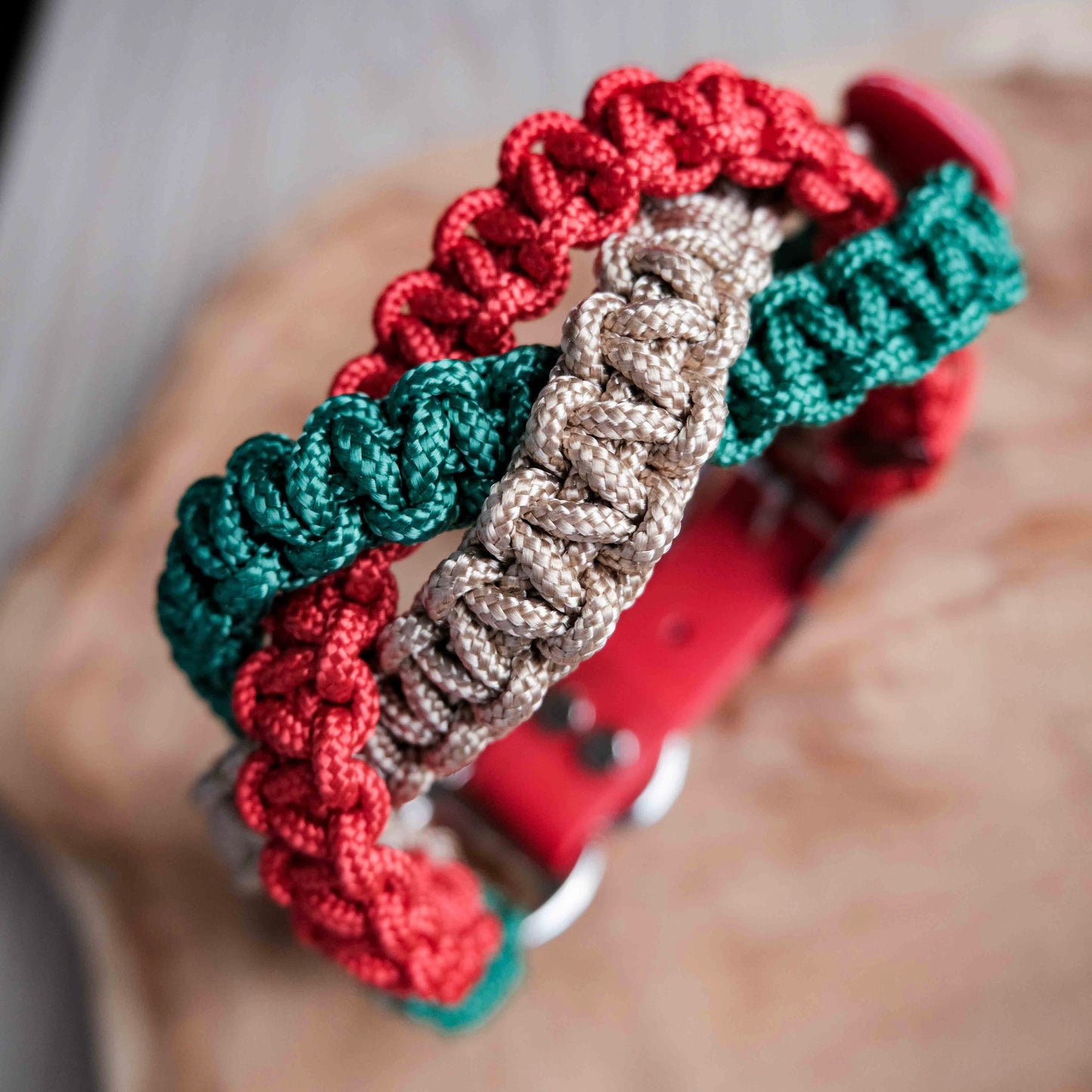 Vánoční paracordový obojek s biothanovým řemínkem / 44 - 50cm