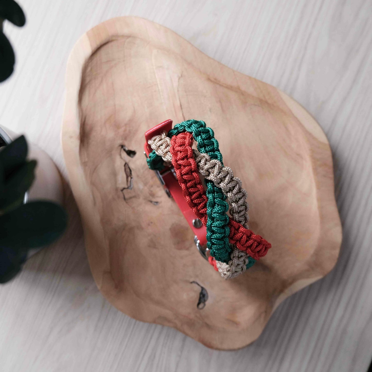 Vánoční paracordový obojek s biothanovým řemínkem / 44 - 50cm